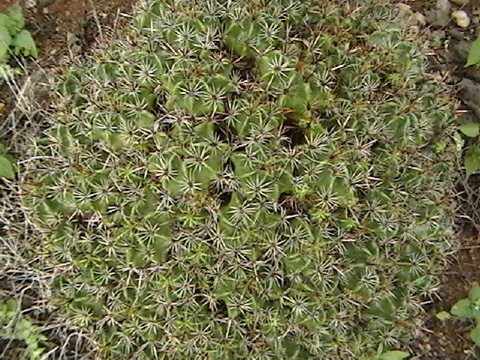 IMGA0256