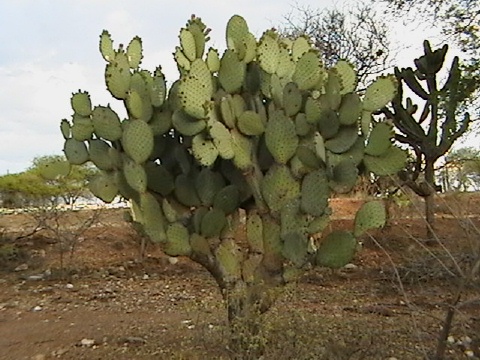 IMGA0347