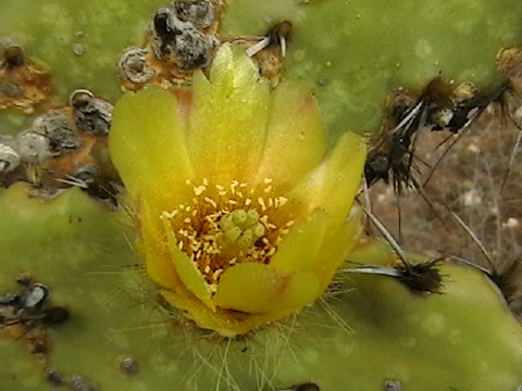 IMGA0349