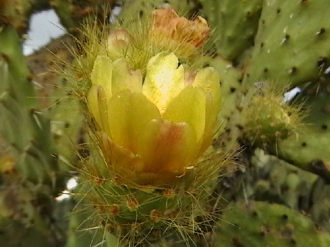 IMGA0350