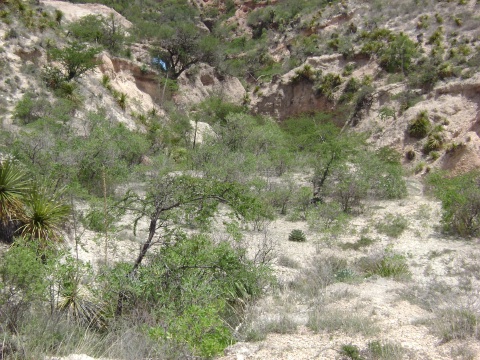 arqueologia