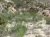 arqueologia