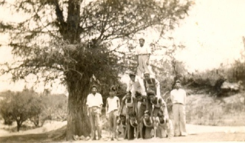 Don Pedro